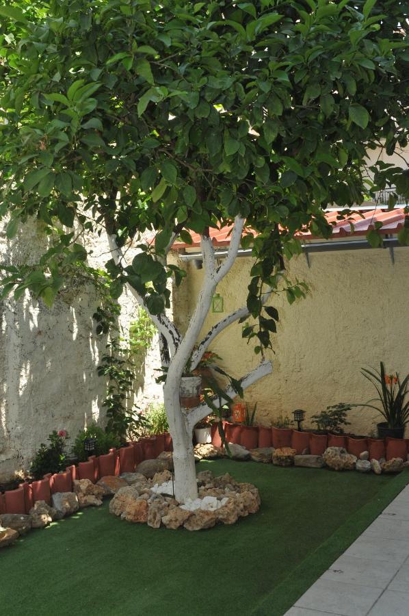 Demi'S Garden Near The Metro Of Athens Daire Dış mekan fotoğraf